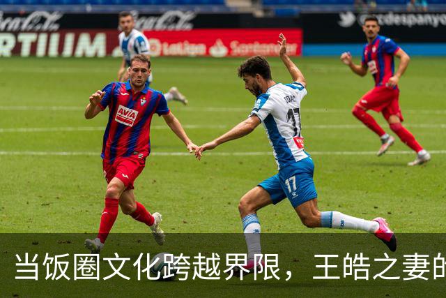 当饭圈文化跨越界限，王皓之妻的逆袭与反击